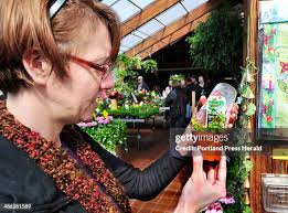 37 Skillins Greenhouses Photos & High Res Pictures