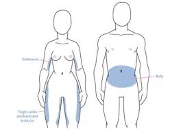 Learn how to draw man's body muscles torso anatomy for a muscular guy or superhero type step by step and easy to follow drawing video tutorial. Human Anatomy Fundamentals Muscles And Other Body Mass
