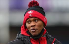 Wales call up James Botham, Lloyd Williams and Willis Halaholo for Scotland  Six Nations clash after injury crisis hits