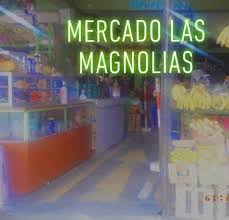 Mercado Las Magnolias