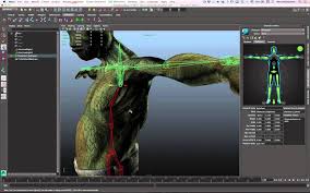 Maya Lt For Unity Developers Skeleton Creation And Adjustment Part 1 Unity Tutorials Unity Developer Animation Tutorial
