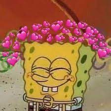 Pin By Shoto Todoroki On Reaction Images Cute Love Memes Wholesome Memes New Memes