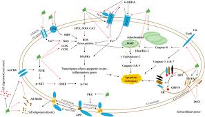 Protective effects of green tea and its main constituents against natural  and chemical toxins: A comprehensive review
