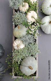 Gartencenter Spath Grun Erleben Wie Geht Kurbis Floral Geschmuckt Herbst Dekoration Kurbisdekorationen Dekoration