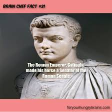 The Roman Emperor Caligula Made His Horse A Senator Of The Roman Senate Trivia Historyfacts Funfacts In 2020 Fun Facts History Facts Weird Facts
