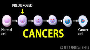 Many cancers seem to develop for no apparent reason. Cancer How Cancer Starts How Cancer Spreads Where And Why Animation Youtube