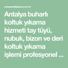 Antalya Buharli Koltuk Yikama Hizmeti Tay Tuyu Nubuk Bizon Ve Deri Koltuk Yikama Islemi Profesyonel Karcher Ve Rotovac Koltuk Yikama M Antalya Koltuklar Deri