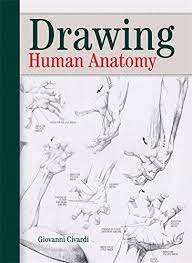 Design and invention comes with 240 pages of tips to help you analyze and construct the. Drawing Human Anatomy Civardi Giovanni 9780289800898 Amazon Com Books