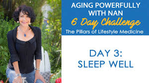 The six pillars of lifestyle medicine include: Nan S 6 Day Lifestyle Medicine Challenge Day 3 Sleep Well Improve Your Sleep Youtube