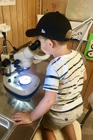 Prinsessan estelles första dag på förskolan. Naturum Takern Ett Sagolikt Utflyktsmal I Ostergotland Lite Mera Rosa