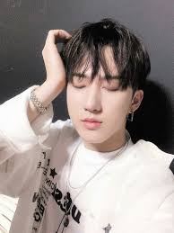 9 Seo Changbin Ft K Idols Harem Felix Stray Kids Kids Icon Stray