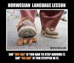 9gag is easily the most popular meme page on facebook with its 39 million fans. 36 Norwegian Memes Ideas Norwegian Memes Funny