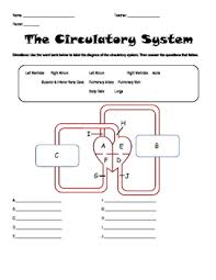 Image result for Cardiovascular Worksheets