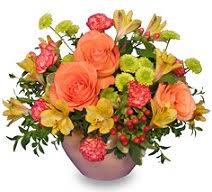 For business deliveries, if the recipient is not there, the business is closed, or there is a delay in the delivery, then the delivery will be attempted the next business day. About Us Way S House Of Flowers Albany Ga