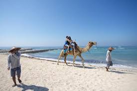 Professional camel handlers will guide you through one of bali's eternal, ageless beach and bush setting with temples. Camel Ride From The Beach Picture Of Hilton Bali Resort Nusa Dua Tripadvisor