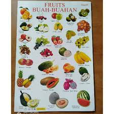 @poster.edukasi merupakan produsen poster edukasi anak. Poster Edukasi Buah Buahan Fruits Shopee Indonesia
