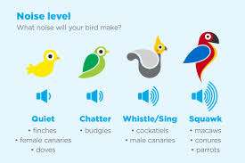 Learn more about each species of bird to determine which will make the best addition to your family from our live bird care sheets. How To Choose The Best Pet Bird For You Petco