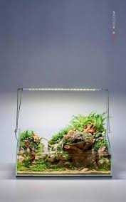 Beautiful Paludarium With Superb Pictures Quality Aquascape Aquascape Design Planted Aquarium