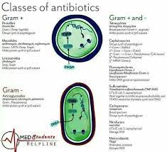 3636062444c73ee9b9756a81c8df2928 Jpg 736 670 Medical Humor Medical School Motivation Microbiology Study