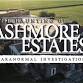 ASHMORE ESTATES OVERNIGHT INVESTIGATION event image