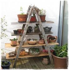 Blumenleiter Alte Leiter Jetzt Habe Ich Auch Endlich Eine Mein Schoner Garten Forum Alte Auch Balkonidee In 2020 Plant Shelves Diy Garden Furniture Plants