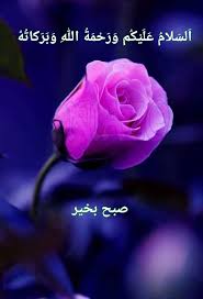 We did not find results for: Pin By Niaz O On Good Morning Good Morning Flowers Quotes Good Morning Beautiful Flowers Good Morning Flowers