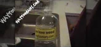 You see, gravity will milk that for you. How To Make A Homemade Gravity Bong Pharmaceuticals Drugs Wonderhowto
