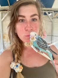 Evening part-time customer service jobs needed