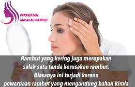 Cara Mengatasi Rambut Rusak Selain Tanda Tanda Rambut Yang Mengalami Kerusakan Anda Juga Harus Melakukan Hal Hal Berikut Rambut Sehat Rambut Baru Rambut Indah
