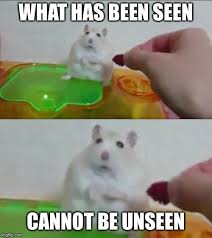 Cannot Unsee Memes Gifs Imgflip