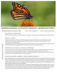 Mariposa Monarca Tlilpapalotl Nahuatl Revista Landuum