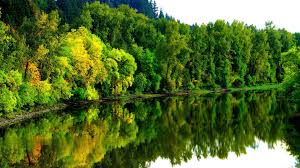 31 Nature Wallpaper 4k Hd Download Basty Wallpaper Find the best 4k wallpaper nature on getwallpapers. basty wallpaper