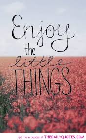 Enjoy The Little Things - The Daily Quotes via Relatably.com