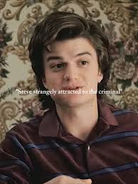 Steve Harrington Scars Fanart