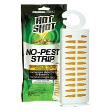 I am still hungry in spite of (eat) four sandwiches. Hot Shot No Pest Strip 1 Ct Insect Pest Control Meijer Grocery Pharmacy Home More