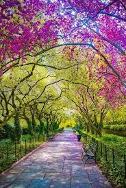 Background pemandangan taman bunga 3 » background check all. Pin Oleh Sunil Pawar Di Background Images Latar Belakang Fotografi Alam Taman Indah