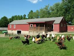 And have they got animals, from lemurs and lions to snakes and sloths. The Small Town Petting Zoo In New Hampshire That S Worthy Of A Road Trip Zoo Animals Pets Zoo