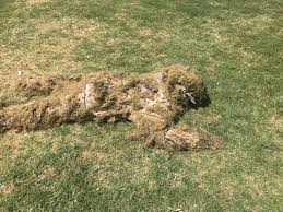 This video is all about how to purchase ghillie suit where to find ghillie suit in pubg. Rayyy Lmao On Twitter Big Thanks To Pubg Playerunknown For This Sweet Care Package It Came With A Ghillie Suit
