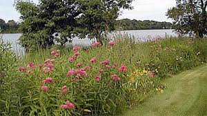 Doing business as:american shoreline restoration american shoreline. Shoreline Health Clean Lakes Alliance