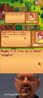 Soon, Penny. : r/StardewValley