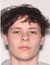 Missing 18-year-old searched for by South Bend Police