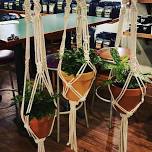 Macrame Plant Hangers at Post and Pour
