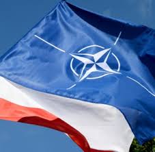 It has an aspect ratio of 3: Konflikte Umfragen Deutsche Sehen Verstarkung Der Nato Truppen In Osteuropa Skeptisch Welt