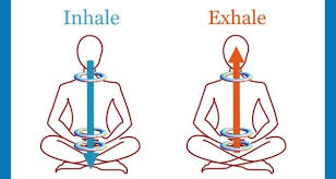 Check spelling or type a new query. Yoga Bandhas How Many Types Of Bandhas Are There