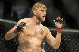 Alexander gustafsson doesn't plan on permanently continuing in the ufc heavyweight division. Report Former Ufc Title Contender Alexander Gustafsson Returns Eyeing Heavyweight Bout Against Fabricio Werdum Bloody Elbow