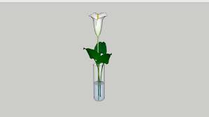 Последние твиты от vas bunga fiber (@vas_bunga_fiber). Vas Bunga 3d Warehouse