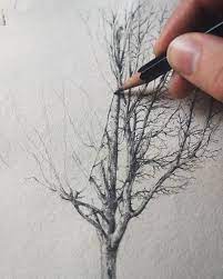 Paper Trees Tree Drawings Pencil Tree Drawing Pencil Art