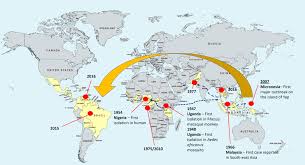 Murrieta pest control service for everything from ants to bed bugs, birds to bees, rats and mice, gophers, landscape and garden. Frontiers Viral Determinants And Vector Competence Of Zika Virus Transmission Microbiology