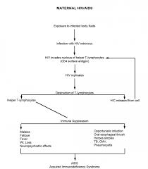 Pathophysiology Of Hiv Aids Flowchart Www