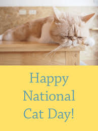 Sleeping Cat Happy Cat Day Card Birthday Greeting Cards By Davia Cat Day National Cat Day Happy Cat